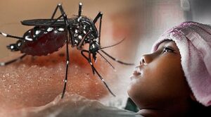 Read more about the article Demam Berdarah Dengue Lebih Berisiko pada Pasien dengan Komorbid, Ini Hal yang Perlu Diwaspadai